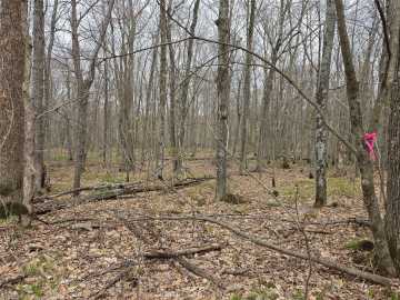 Hayward, WI: 12XXX N Olson Road