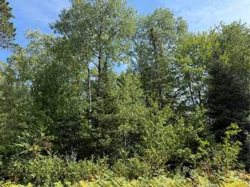 Cable, WI: Lot 38 & 39 Stone Pine Drive
