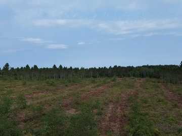 Barnes, WI: 21XX Ellison Lake Road 