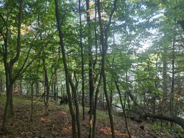 Chippewa Falls, WI: Lot 2 75th Avenue