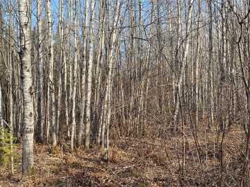 Lake Nebagamon, WI: Near Jackson Road 