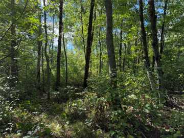 Minong, WI: 0 Shell Creek Road