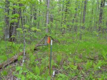 Winter, WI: Tax ID #34696 Cornwall Road