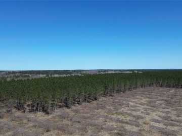 Barnes, WI: N/A Tomahawk Lake Road