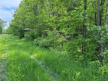 Withee, WI: 000 Winter Sports Road