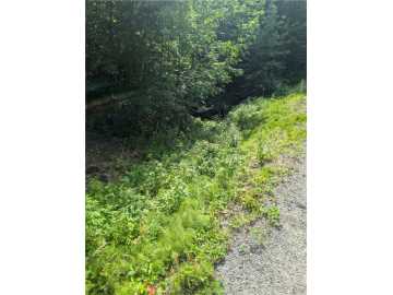 Stanley, WI: Lot 1 165th Avenue