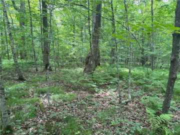 Birchwood, WI: 0 28 7/16-28 9/16 Street