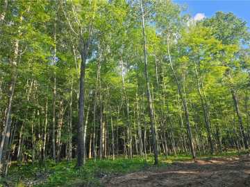 Webster, WI: Lot 4 County Rd A 