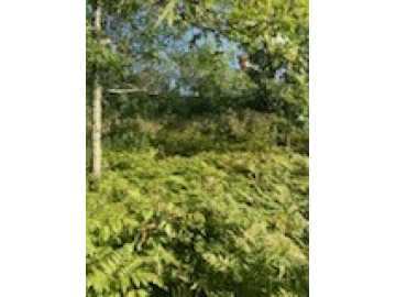 Springbrook, WI: xxx Lester Road