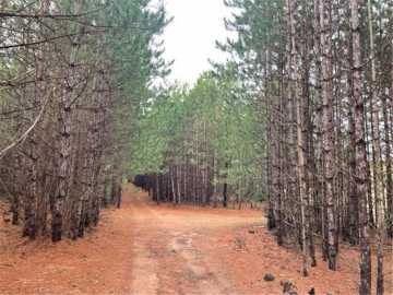 Grantsburg, WI: XXX Hay Creek Boulevard