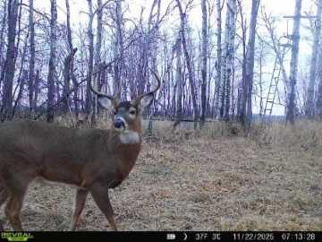 Weyerhaeuser, WI: xxx Old 14 Road