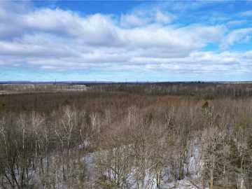 Ladysmith, WI: 96+ Acres on White Birch Ridge Road