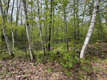 Wascott, WI: Lot 3 Peterson Road 