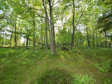 Webster, WI: Lot 19 Aspen Hill Trailway 
