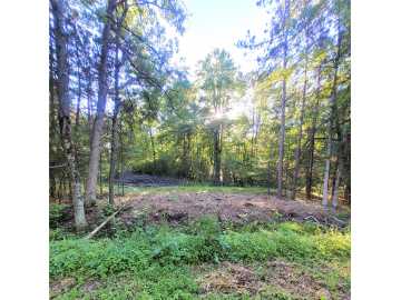 Merrillan, WI: 0 Lot 6 Old Highway12 