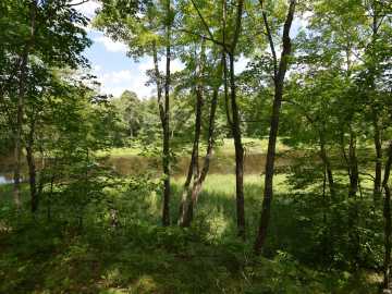 Siren, WI: Lot 2 Saylors Lane
