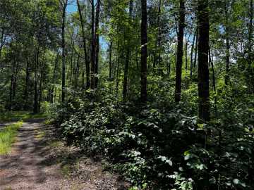 Hayward, WI: Lot 12 Cassandra Road
