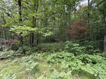 Hayward, WI: Lot 1 Nor Wis Road