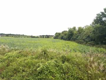 Osseo, WI: Lot 4 Van Tassel Rd 