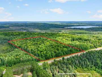 Hayward, WI: 20 Acres State Highway 77 