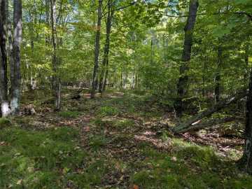 Ojibwa, WI: Lot 17 Rabbit Run 