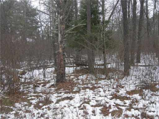 Cable, WI: Lots 45,44,43,42,41 Walnut Court 