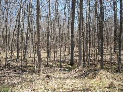 Birchwood, WI: LOT # 93 and 94 Maple Court