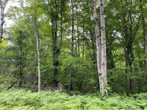 Cable, WI: Lot 18 Tanglewood Court