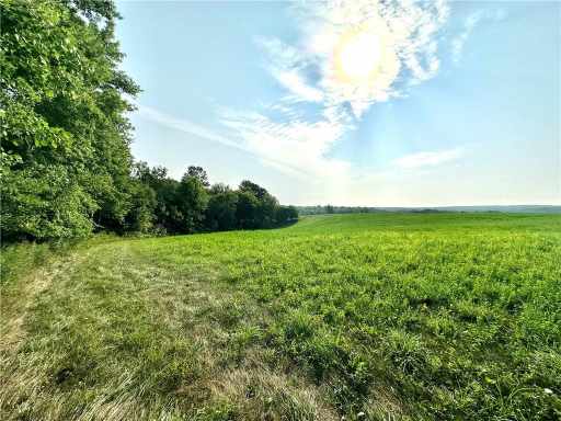 Frederic, WI: (10 acres,lot 3) 335th Avenue