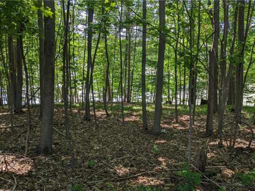 Bloomer, WI: Lot 3 175th Ave 