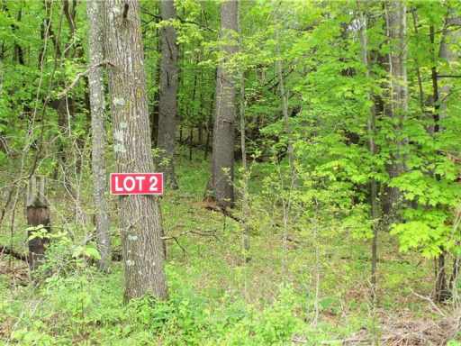 Frederic, WI: LOT 2 350TH AVE 