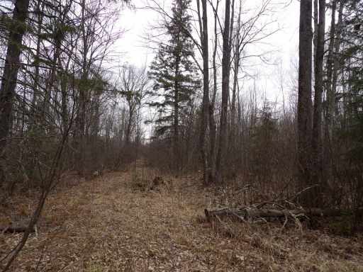 Winter, WI: 40+/- Acres Off Wright Road