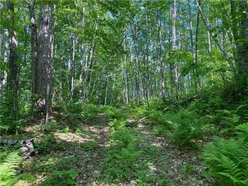 Hayward, WI: Lot 7 Secluded Trail