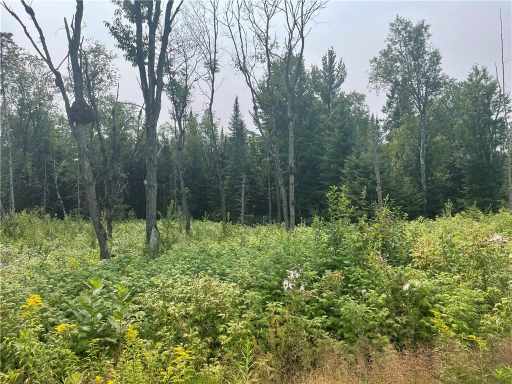 Butternut, WI: 6+/- Acres On Old 13 Road