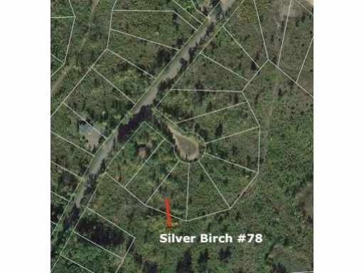 Danbury, WI: Lot 78 Silver Birch Trailway 