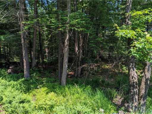Bloomer, WI: Lot 1 165th Ave 