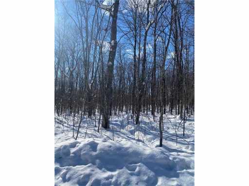 Cable, WI: Lots 49 & 50 Hardwood Court