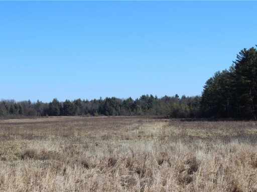 Neillsville, WI: 0 Maple Road - 20 acres 